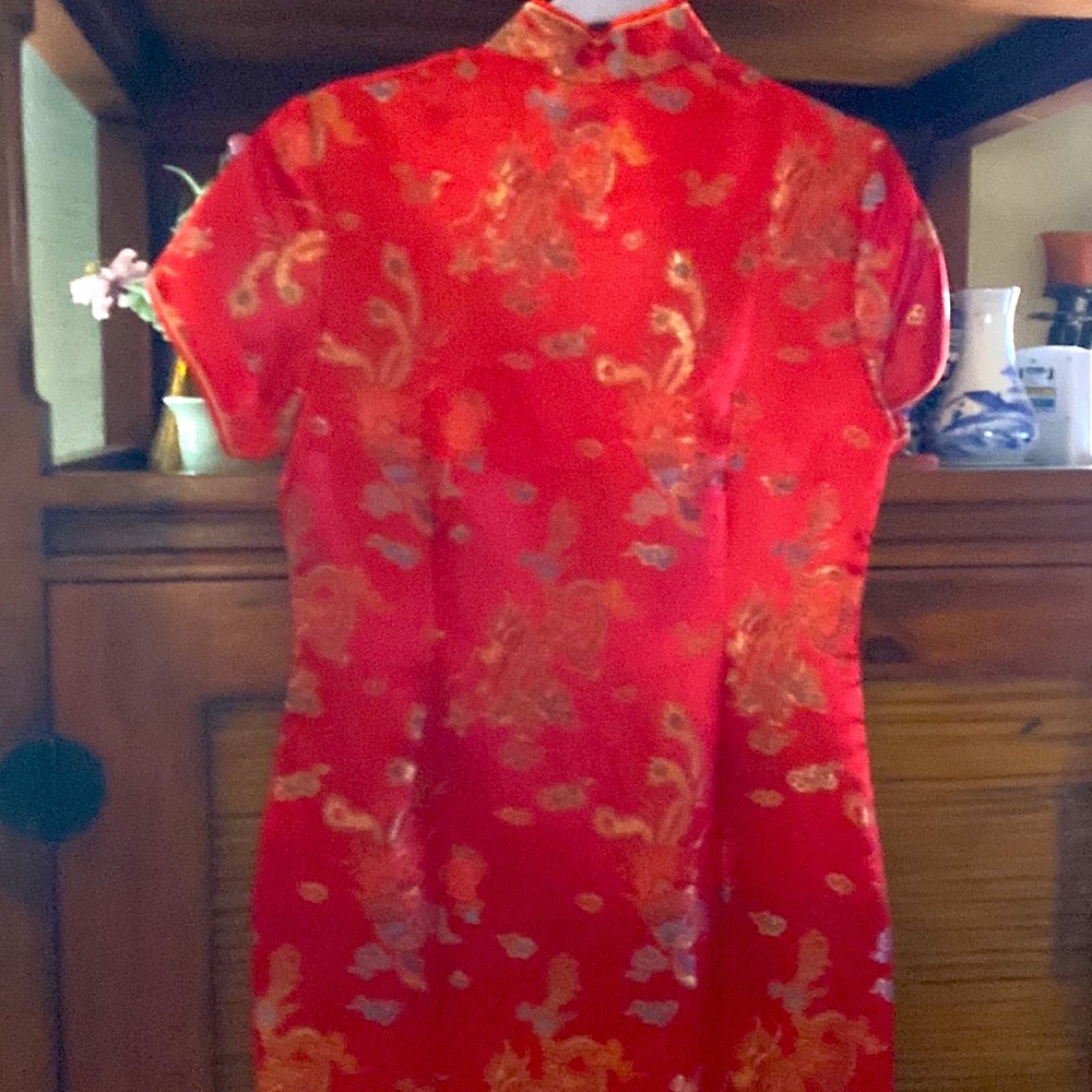 Nwot beautiful Asian Dress - Picture 3 of 3